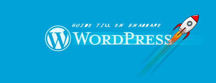 guide till snabbare wordpress sida