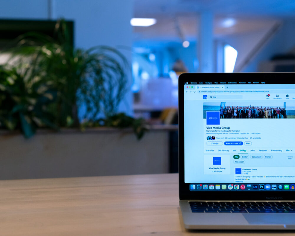 Linkedin Ads Guide