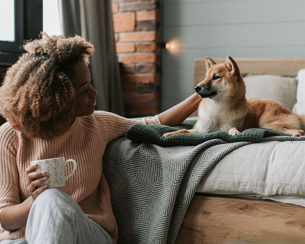 Simbi – har en vinnande sökstrategi