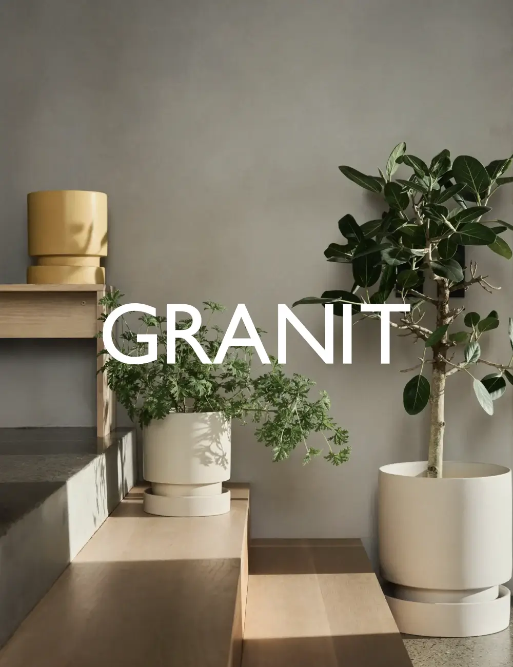 Tillväxt med varumärket i rörelse